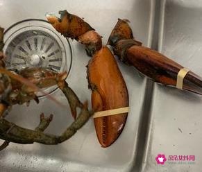 龙虾的做法大全窍门