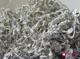 小稀藤茶的功效
