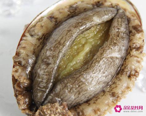 鲍鱼的做法及清洗