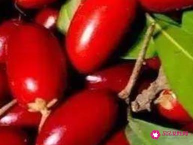 世界上最恐怖的水果