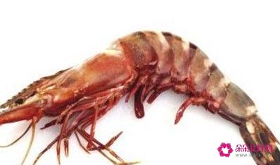 龙虾的种类及图片及名字