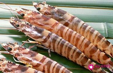 龙虾的种类及图片及名字