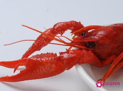 龙虾的种类及图片及名字