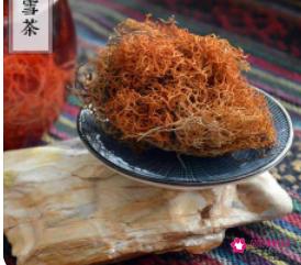 红雪茶的功效与作用