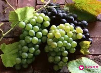 葡萄是酸性还是碱性