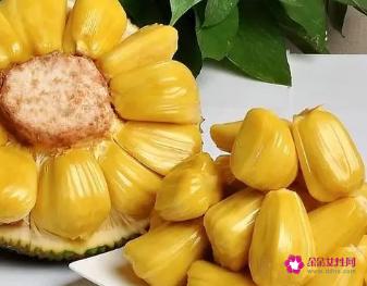 菠萝蜜的功效与作用禁忌和食用方法