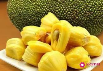 菠萝蜜的功效与作用禁忌和食用方法