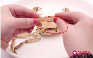 螃蟹吃法分解图