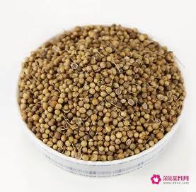 芫荽子是什么