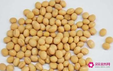 黄豆的功效与作用和副作用