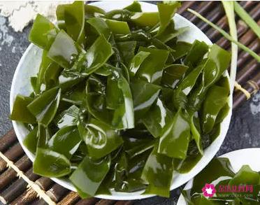 含蛋白质量高的9款食物