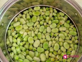 怎样保存新鲜蚕豆