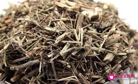 马鞭草茶的功效与作用及禁忌