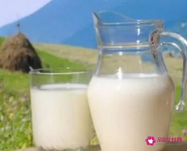 什么牌子的进口牛奶比较好