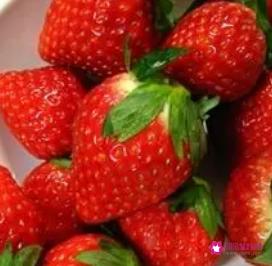 草莓如何存放保鲜