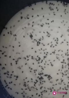 自己做蛋糕教程