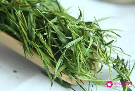石竹茶的功效与禁忌