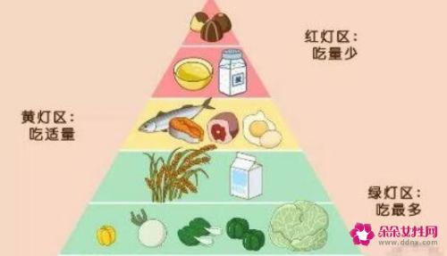 科学减肥的食谱