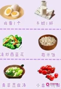 科学减肥的食谱