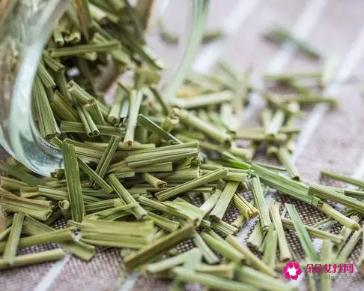 香茅茶的功效与作用