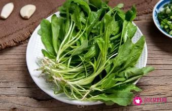荠菜饮食禁忌