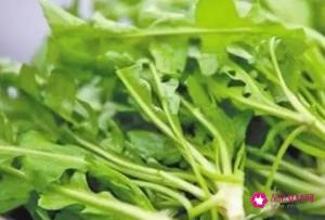 荠菜饮食禁忌