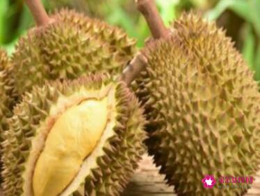 十大水果之王排名