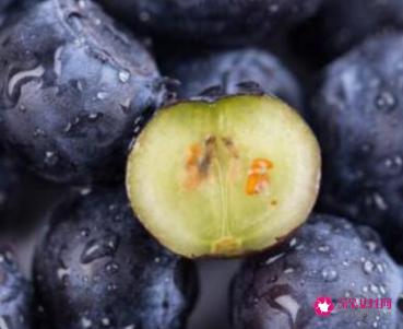 十大水果之王排名