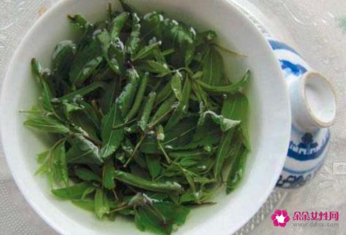 酸枣芽茶的功效与作用