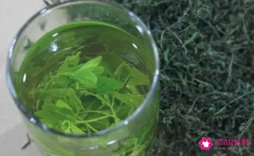 酸枣芽茶的功效与作用