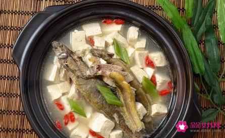 泥鳅汤的功效与作用