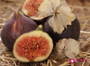 无花果汁有什么作用与功效