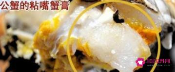 蟹膏是什么样
