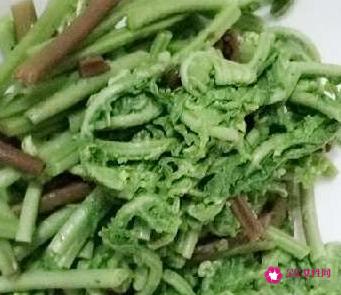 蕨菜怎么做出来好吃