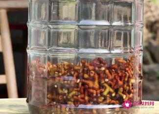 拐枣泡酒的功效与作用