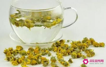 贡菊花的功效与作用