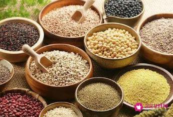 孕妇能吃的东西有哪些食物