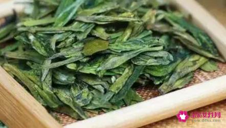 九龙茶是什么茶