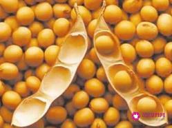 如何正确看待转基因食品