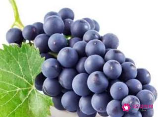 黑加仑葡萄功效与作用及禁忌