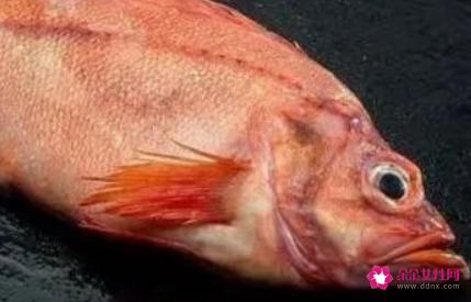 十大营养食品排行