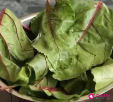 十大营养食品排行