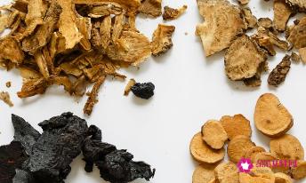 丹参的功效作用与主治