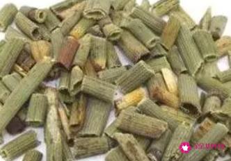 木贼的功效与作用