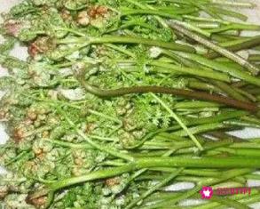 蕨菜的功效作用和危害