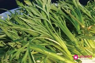 蕨菜的功效作用和危害
