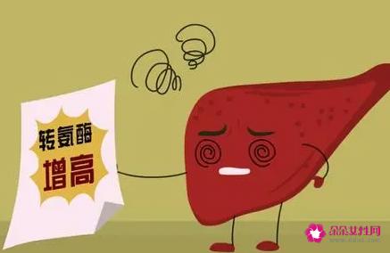 谷丙转氨酶偏高的原因是什么