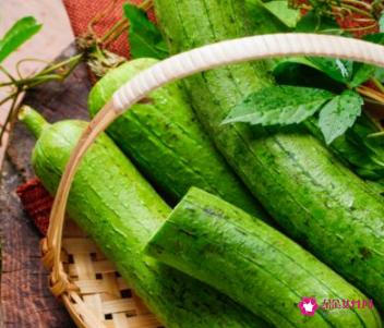 减肥碳水食物一览表