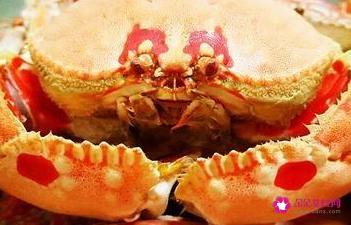 清蒸螃蟹的做法和步骤