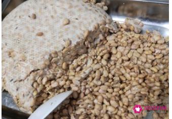 做豆豉的方法和教程